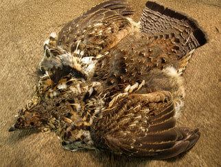 Ruffed Grouse Skin