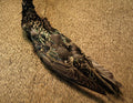 Select Starling