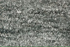 Fulling Mill Shuggy Chenille