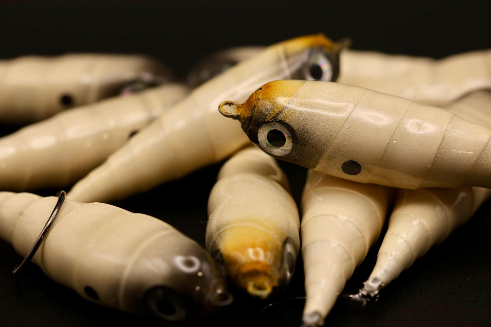 Spiral Spook Fly