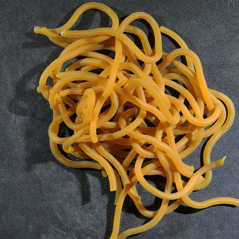 Caster's Squirmito: The Original Squiggly Worm Material