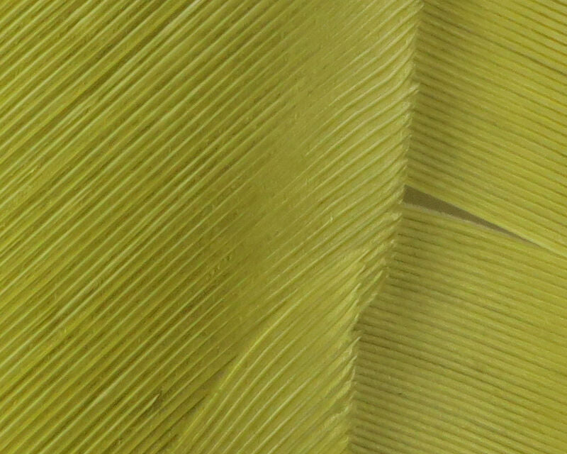 Light Olive