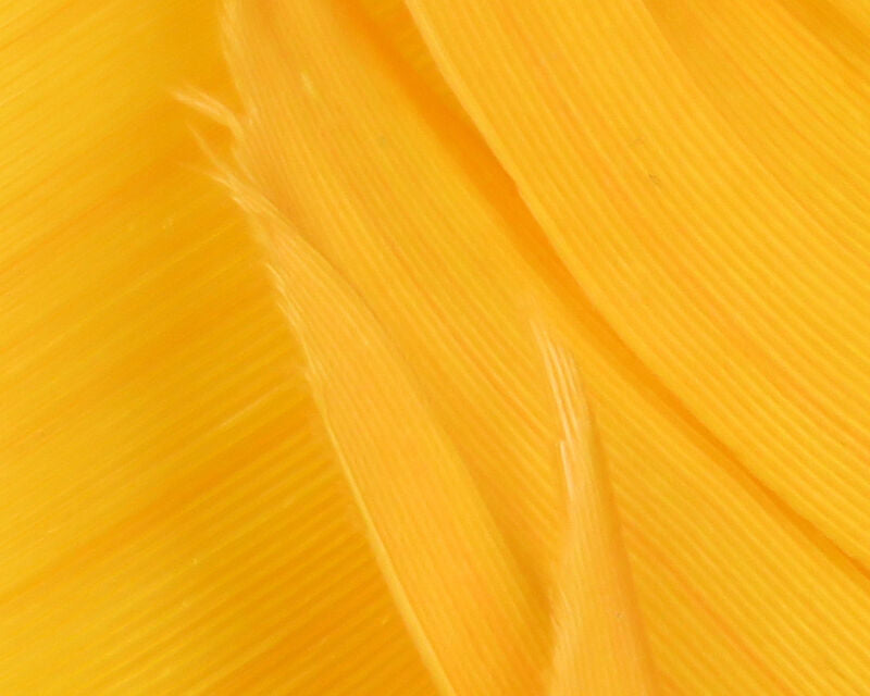 Sulphur Orange