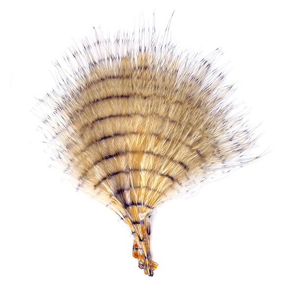 Fine Barred Marabou