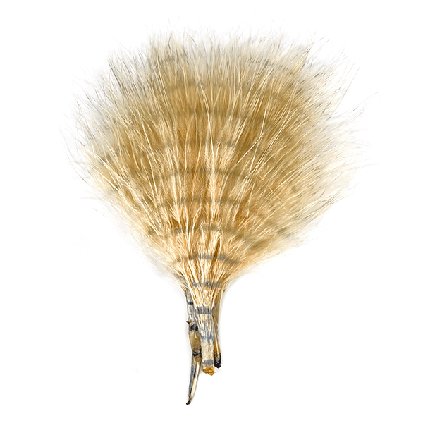 Fine Barred Marabou