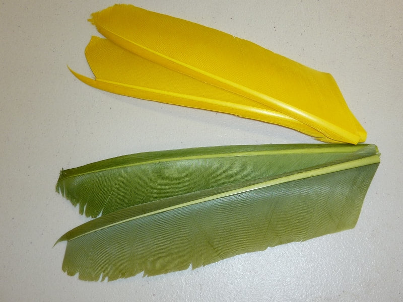 Turkey Biot Quill Pieces