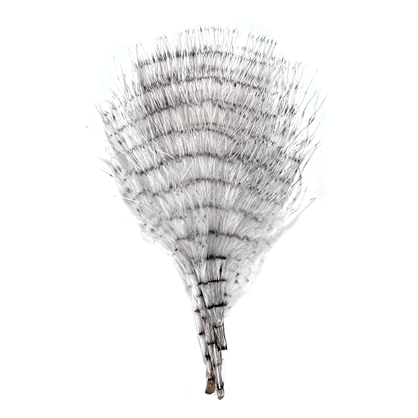 Fine Barred Marabou