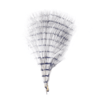 Fine Barred Marabou