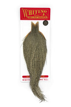 Whiting Silver Cape - Grizzly