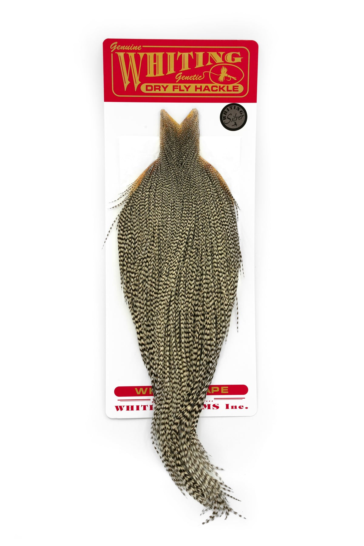 Whiting Silver Cape - Grizzly
