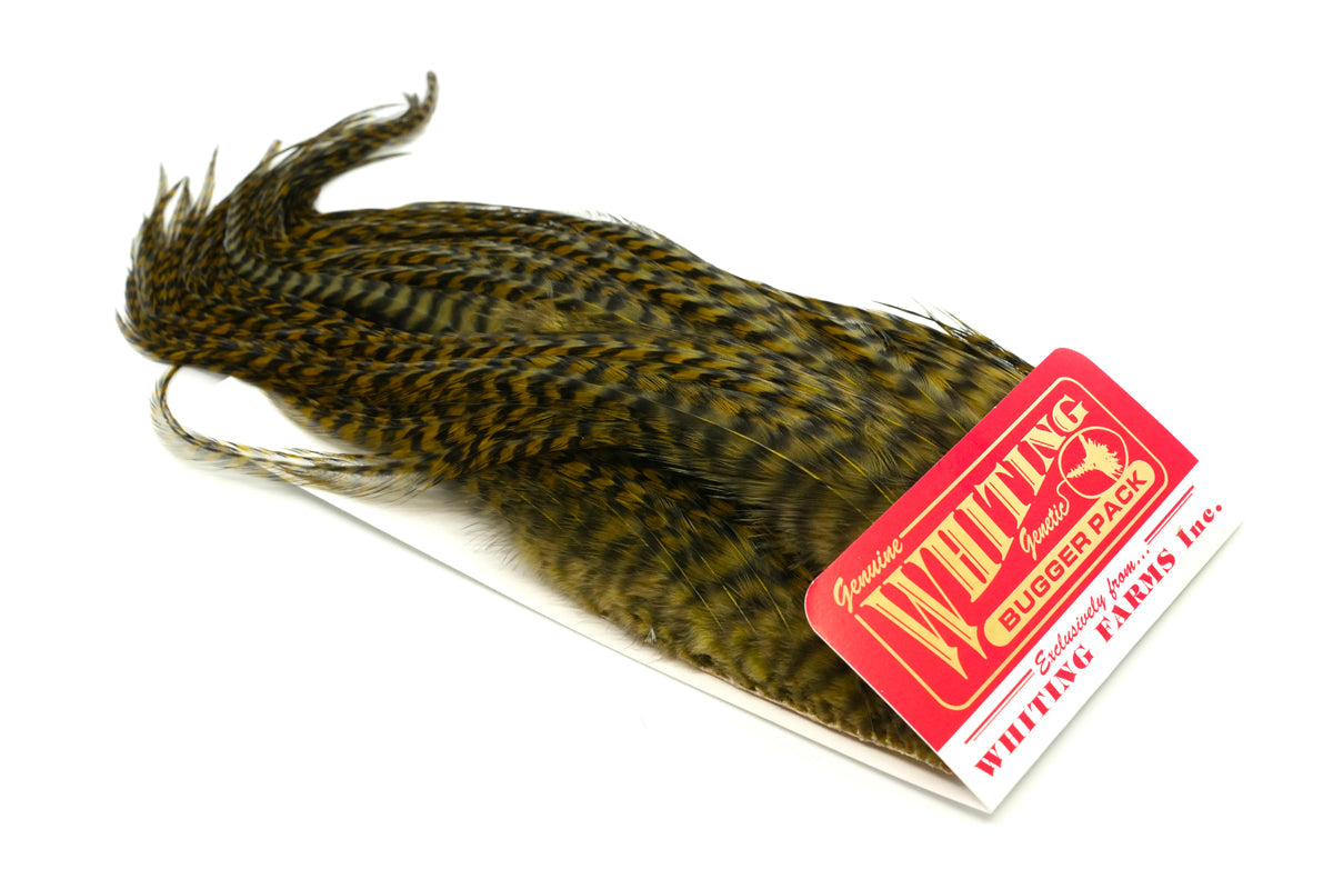 Whiting Farms Bugger Pack - Grizzly dyed Dark Olive