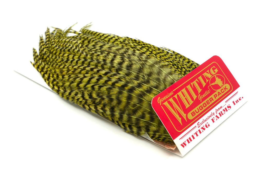 Whiting Farms Bugger Pack - Grizzly dyed Olive