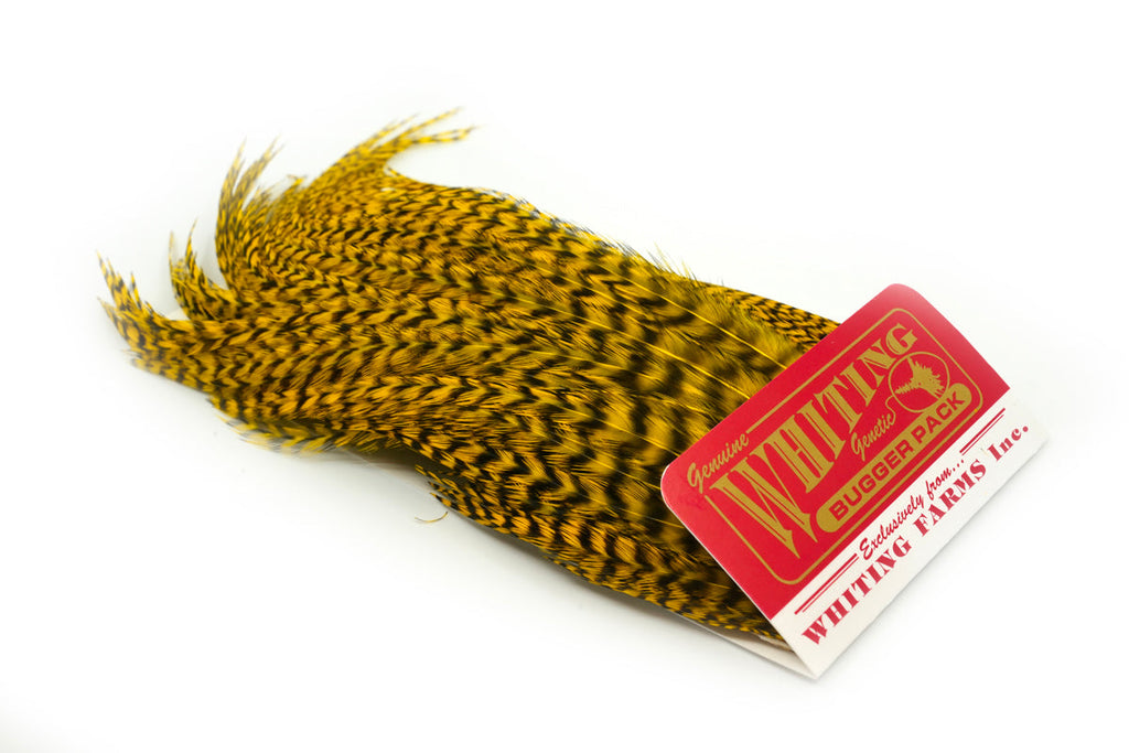 Whiting Farms Bugger Pack - Grizzly dyed Yellow