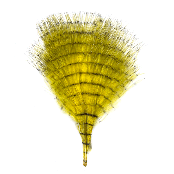 Fine Barred Marabou
