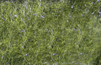 Fly Fish Food's Bruiser Blend Dubbing