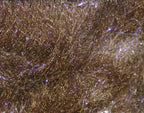 Fly Fish Food's Bruiser Blend Dubbing