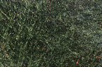 Fly Fish Food's Bruiser Blend Dubbing