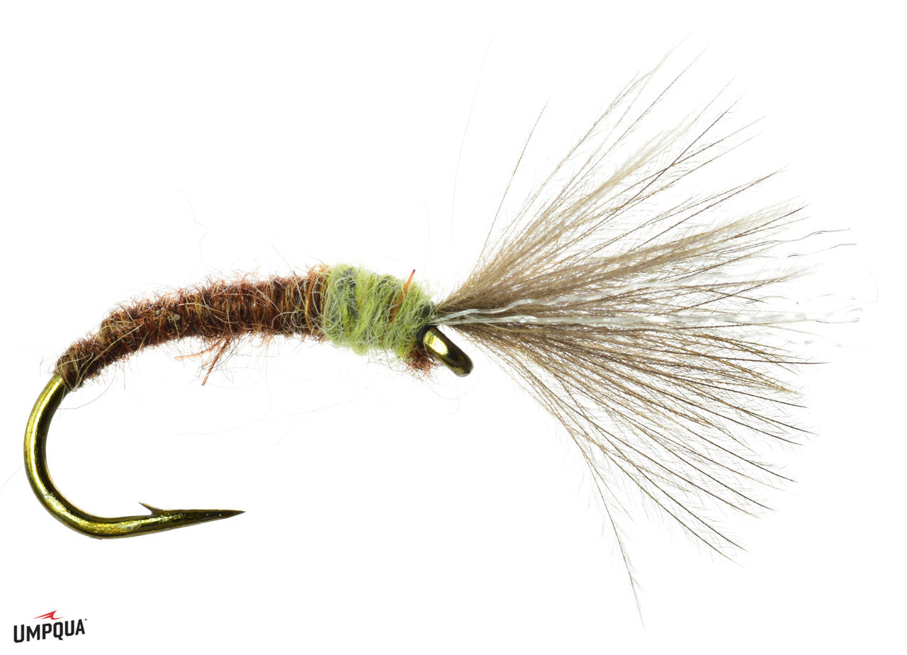 Mole Fly