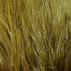 Olive Brown