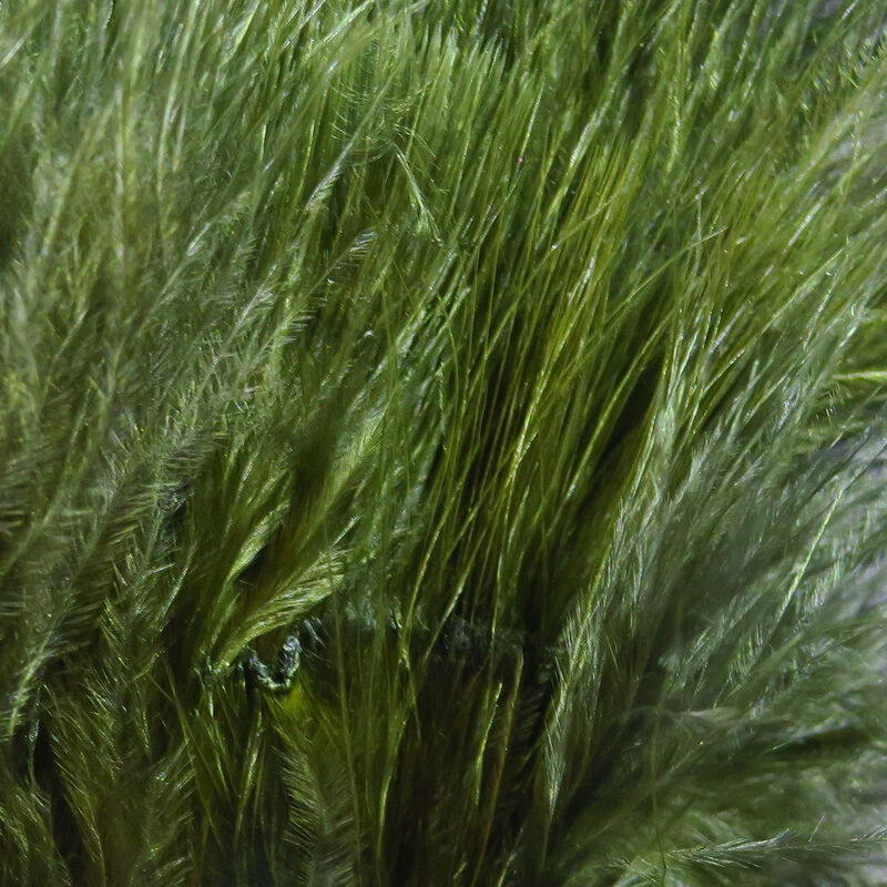 Dark Olive