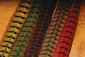 Ringneck Pheasant Tail Feathers Natural
