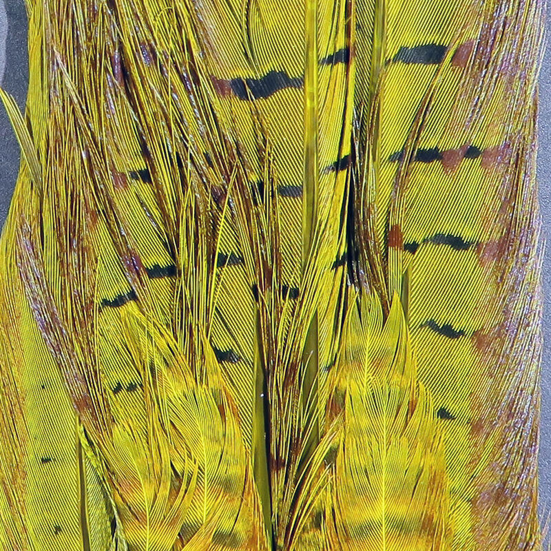 Dyed Yellow